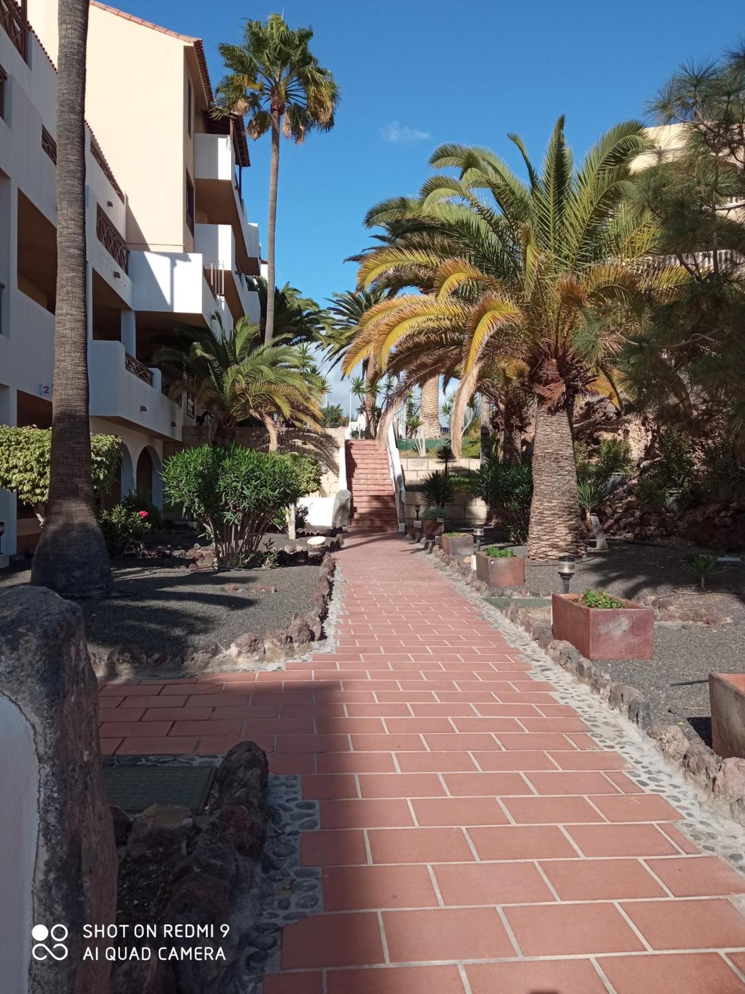 Las Meninas Tenerife San Miguel de Abona Room photo
